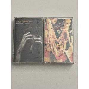 David Baerwald Bedtime Stories / Triage Cassette Tapes A&M Records Play Tested